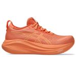 Zapatilla-ASICS-Gel-Nimbus-27-Lite-Show